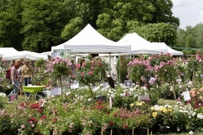 Journées de la Rose à l'Abbaye de Chaalis