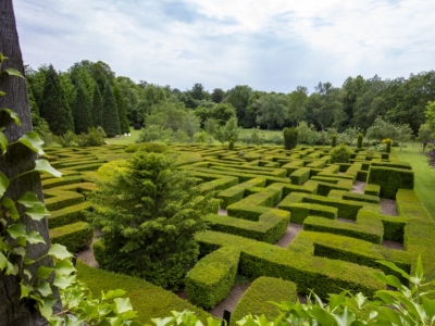 Entre art et botanique