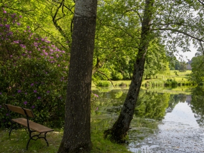 Renaissance d'un parc